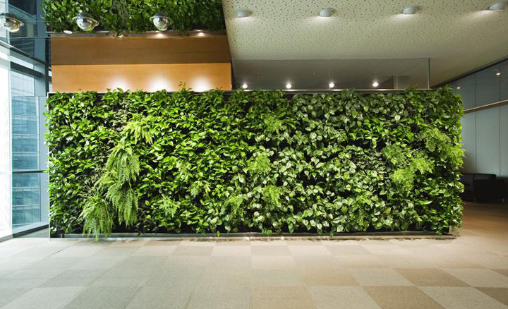 Application range of Artificial green wall, Artificial hedge, Artificial bonsai, Artificial grass, Artificial vines, Pine bark mulch