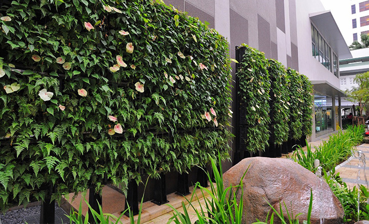 The difference between Artificial green wall, Artificial hedge, Artificial bonsai, Artificial grass, Artificial vines, Pine bark mulch